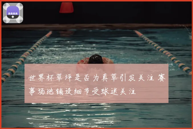世界杯草坪是否为真草引发关注 赛事场地铺设细节受球迷关注