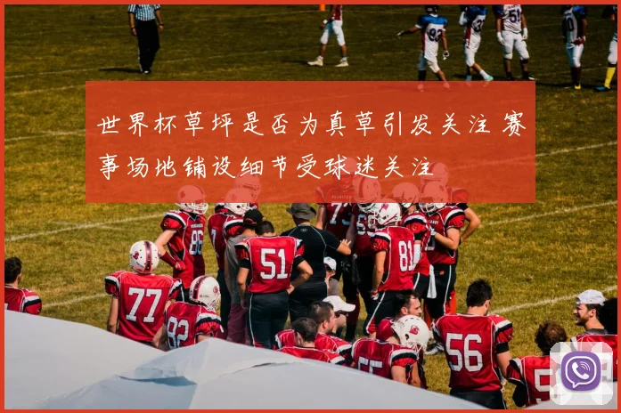 世界杯草坪是否为真草引发关注 赛事场地铺设细节受球迷关注