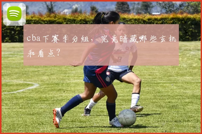 cba下赛季分组，究竟暗藏哪些玄机和看点？