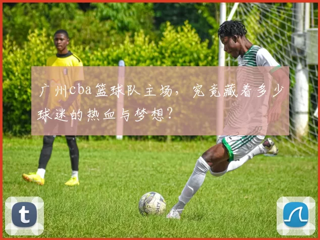 广州cba篮球队主场，究竟藏着多少球迷的热血与梦想？